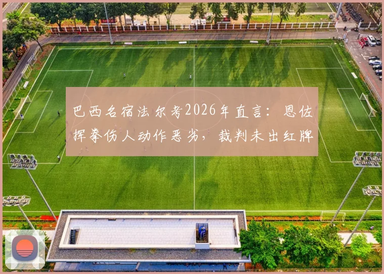 巴西名宿法尔考2026年直言：恩佐挥拳伤人动作恶劣，裁判未出红牌引巨大争议